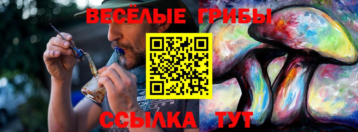 Псилоцибиновые грибы ЛСД  Галлюциногенные грибы Psilocybe  Вход с VPN  Магадан 