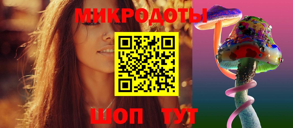 Псилоцибиновые грибы мицелий Магадан